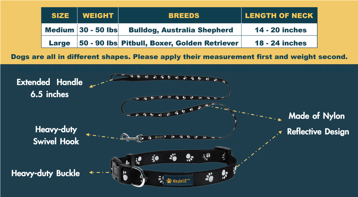 Reflective Nylon Dog Collar and Leash Set HedeliE Reflective Nylon Dog Collar and Leash Set HedeliE