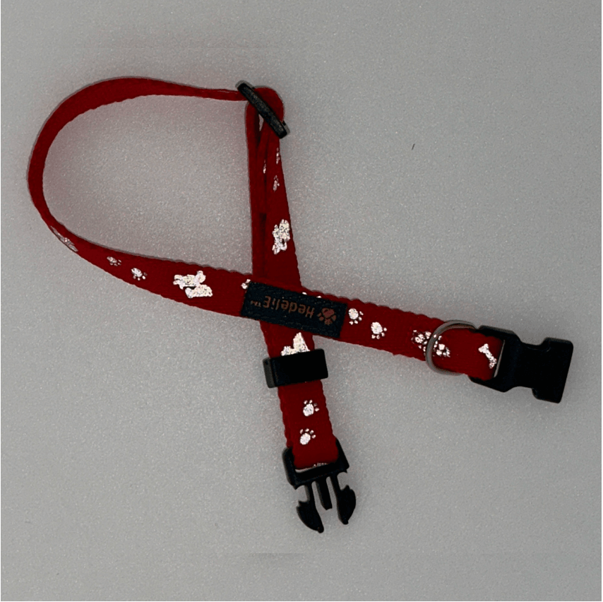 Reflective Collar and Leash Set for Puppies and Cats HedeliE Reflective Collar and Leash Set for Puppies and Cats HedeliE