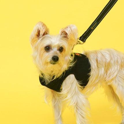 Step-in Mesh Harness HedeliE Step-in Mesh Harness HedeliE