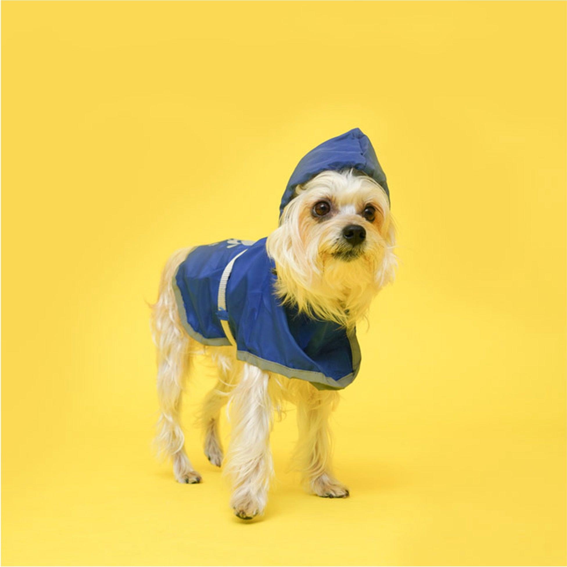 dog rain gear Buckle-Up Reflective Dog Raincoat with Removable Belt Set – HedeliE