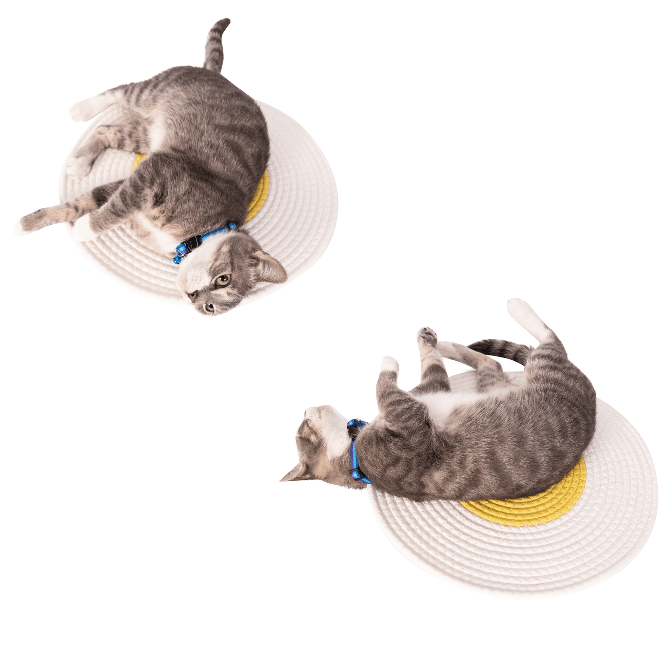 Reversible Cat Scratch Mat Round Bed HedeliE Reversible Cat Scratch Mat Round Bed HedeliE