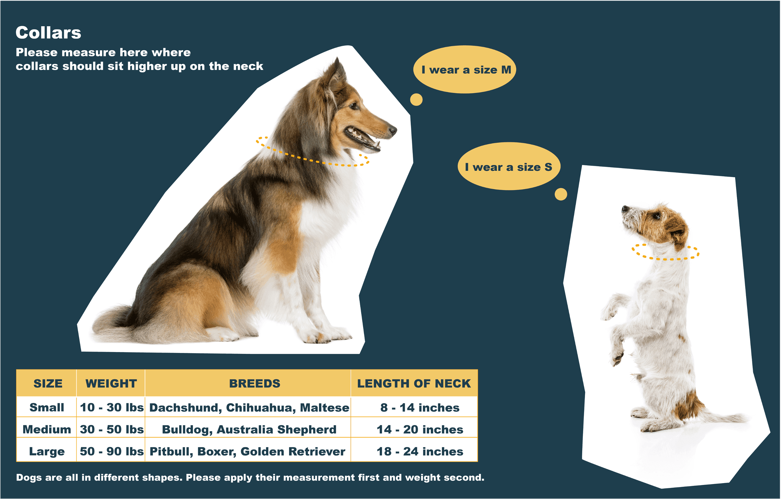 Trio Polyester Dog Collar and Leash Set HedeliE Trio Polyester Dog Collar and Leash Set HedeliE