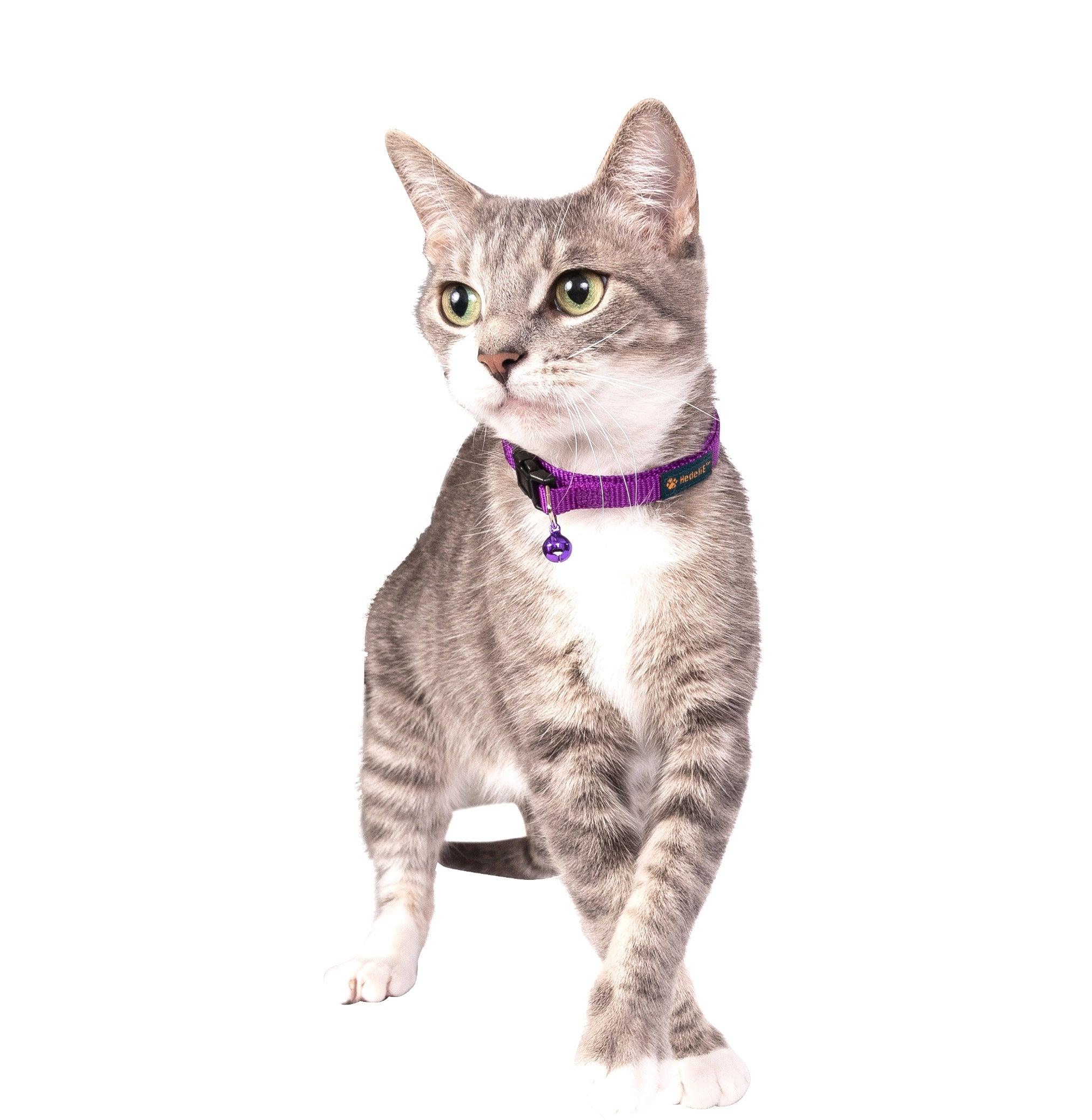2-color Nylon Cat Collar Set (2 Pack) HedeliE 2-color Nylon Cat Collar Set (2 Pack) HedeliE