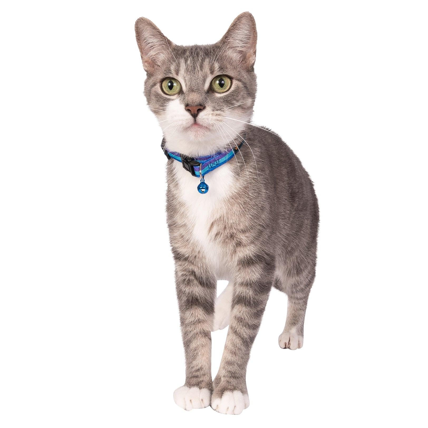 Trio Polyester Cat Collar with Bell HedeliE Trio Polyester Cat Collar with Bell HedeliE