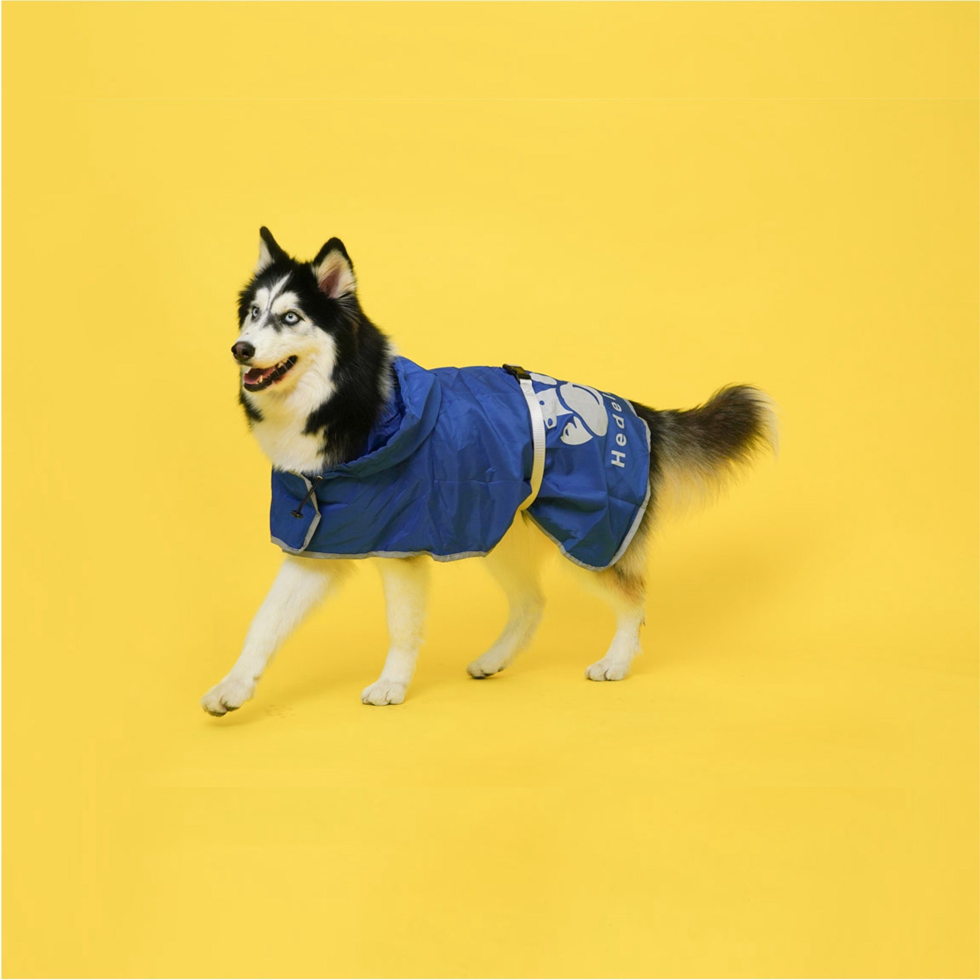 Reflective Dog Raincoat with Removable Belt HedeliE