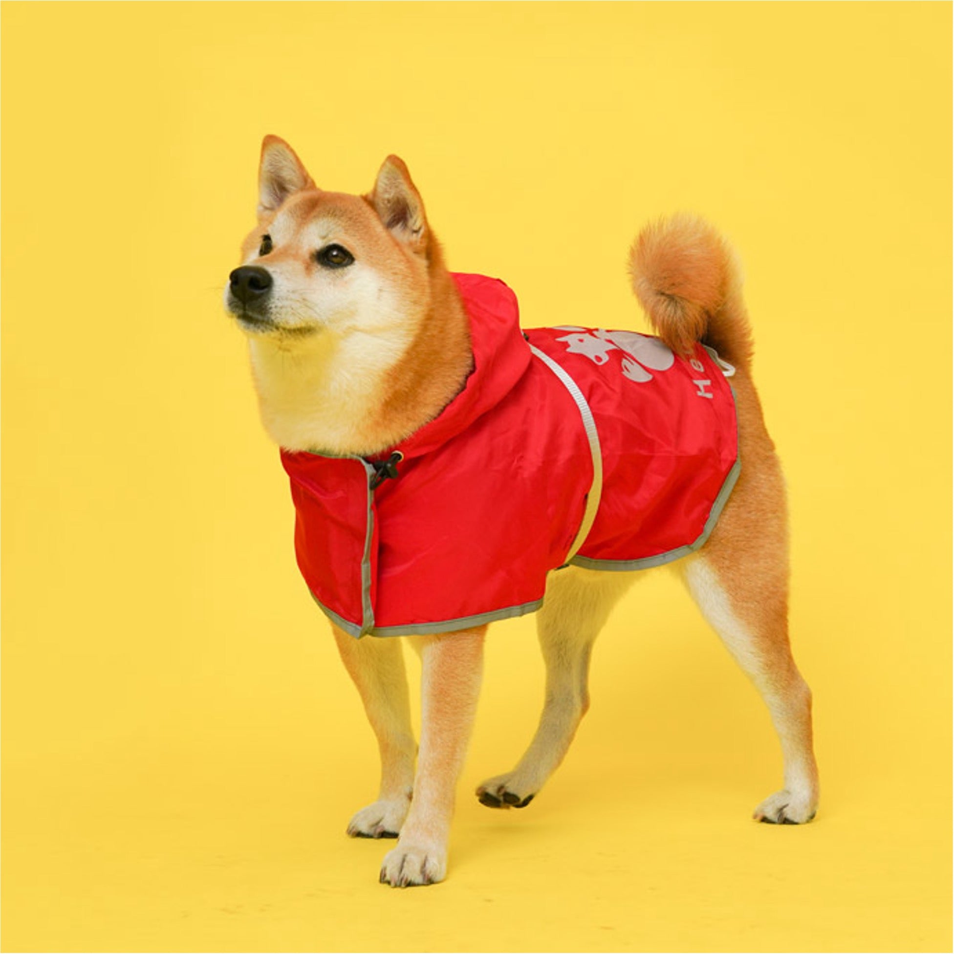 Buckle-Up Reflective Dog Raincoat with Removable Belt Set HedeliE