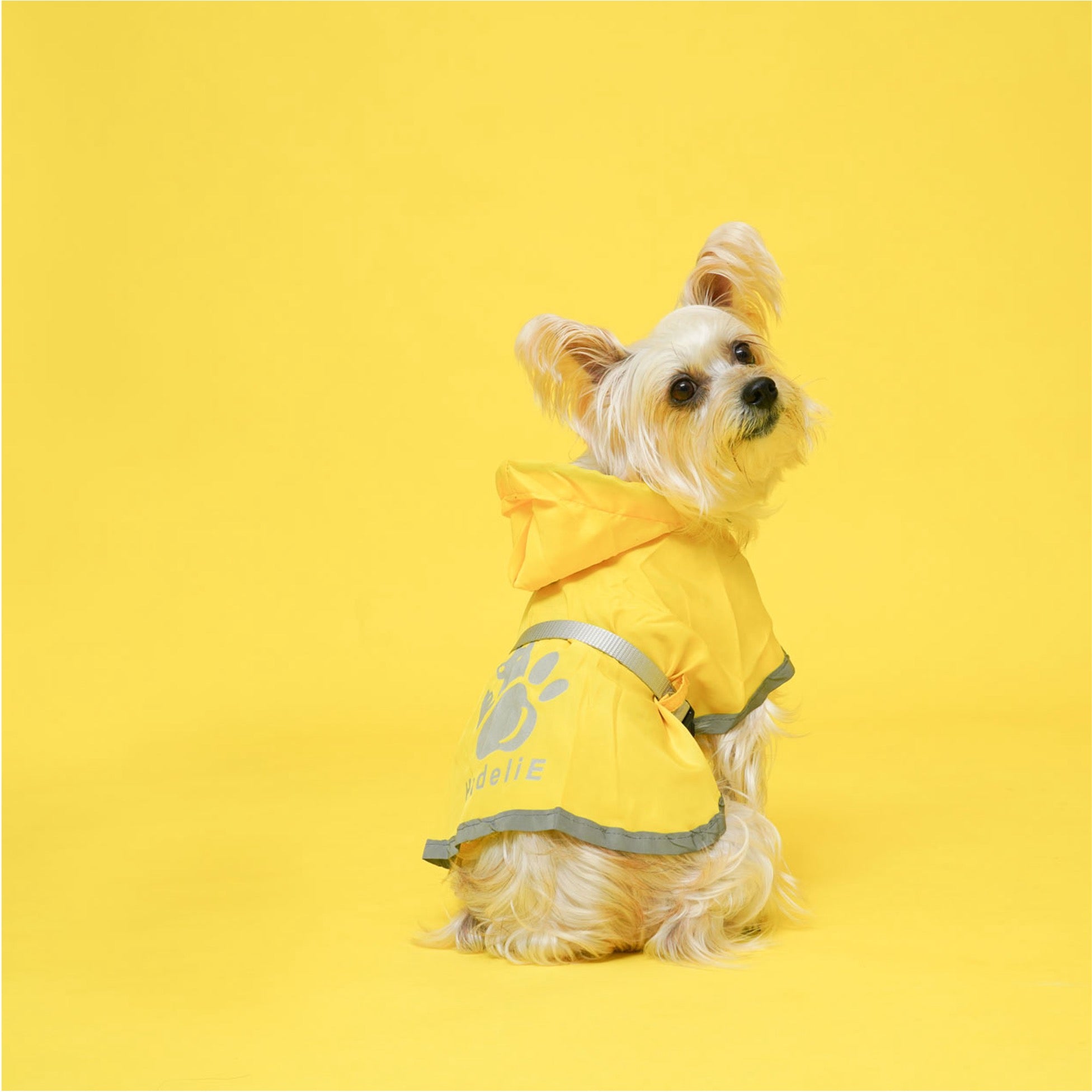 Buckle-Up Reflective Dog Raincoat with Removable Belt Set (Copy) HedeliE