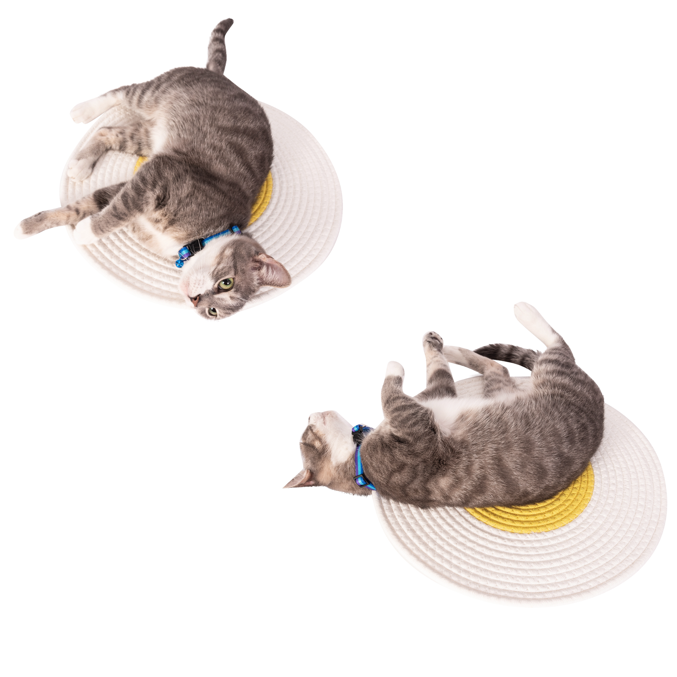 Reversible Cat Scratch Mat Round Bed HedeliE
