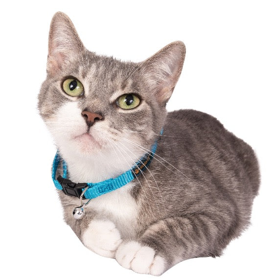 Breakaway Nylon Cat Collar with Bell (Single Pack) HedeliE