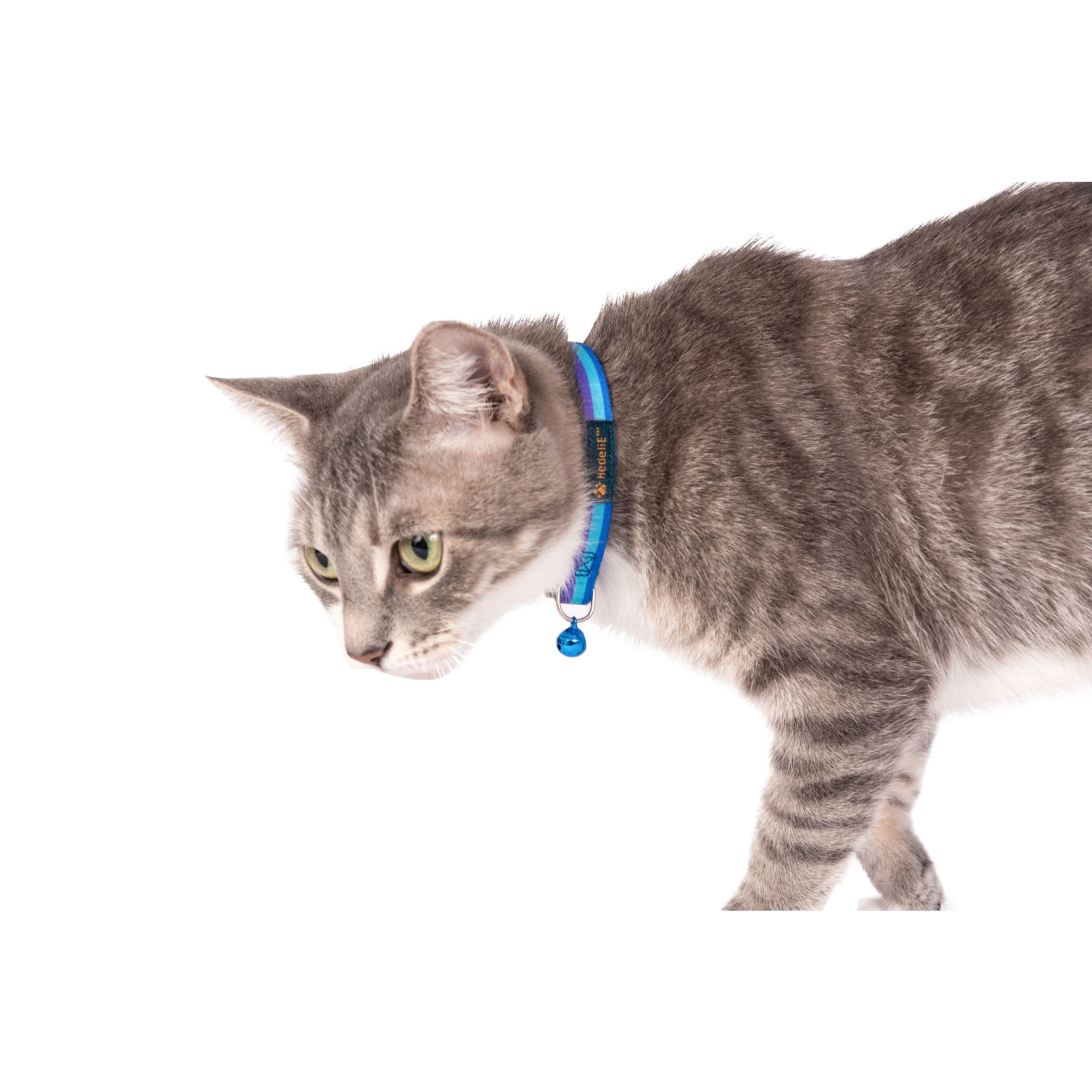 Trio Polyester Cat Collar with Bell HedeliE